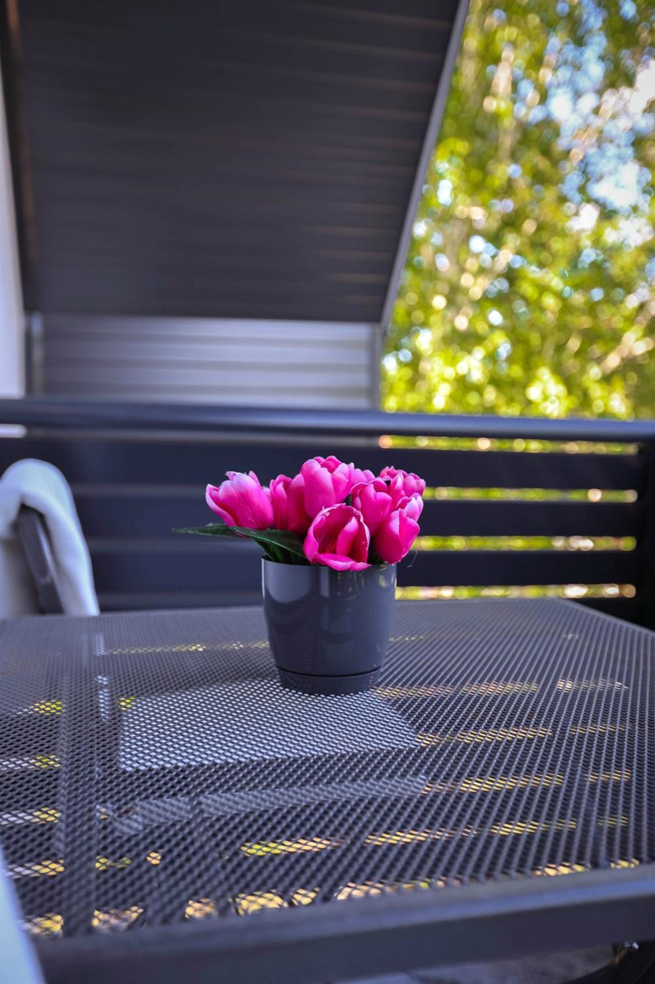 Apartman Babic Bihać 외부 사진